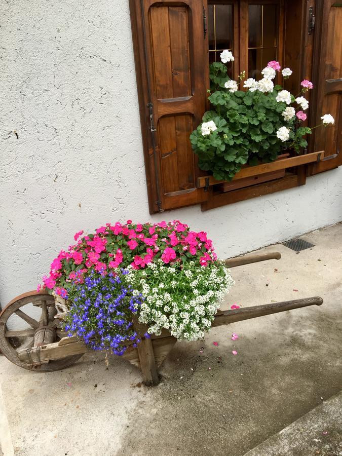 Albergo Meuble Tarandan 포르니 디 소프라 외부 사진